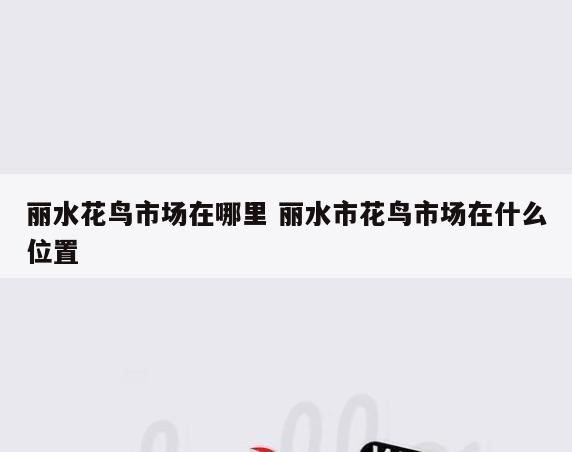 丽水花鸟市场在哪里 丽水市花鸟市场在什么位置