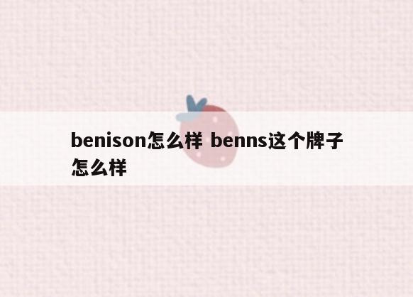 benison怎么样 benns这个牌子怎么样