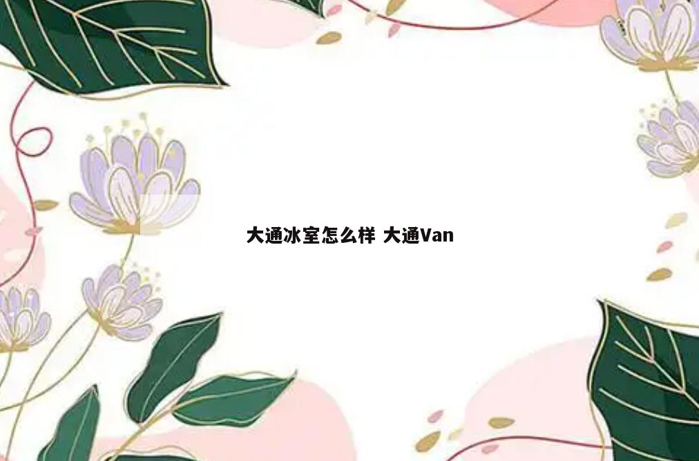 大通冰室怎么样 大通Van