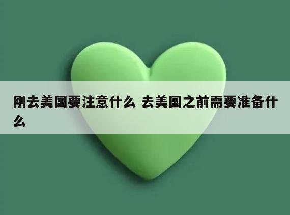 刚去美国要注意什么 去美国之前需要准备什么