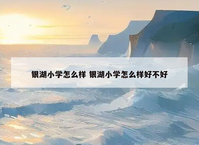 银湖小学怎么样 银湖小学怎么样好不好