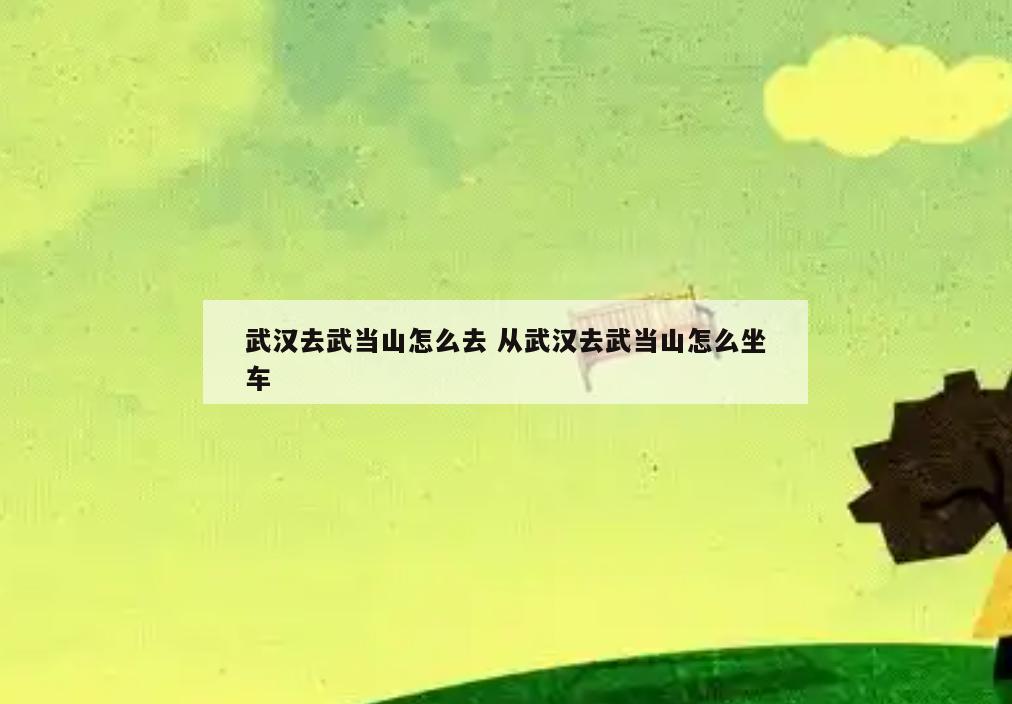 武汉去武当山怎么去 从武汉去武当山怎么坐车