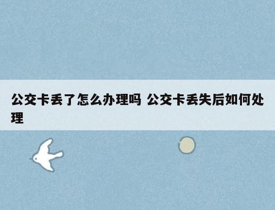 公交卡丢了怎么办理吗 公交卡丢失后如何处理