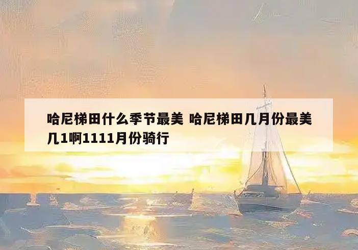 哈尼梯田什么季节最美 哈尼梯田几月份最美几1啊1111月份骑行