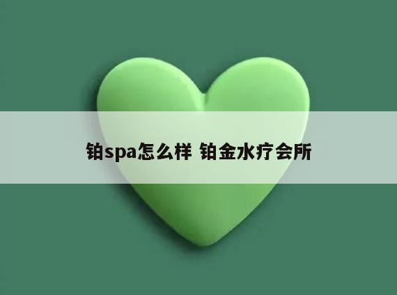 铂spa怎么样 铂金水疗会所