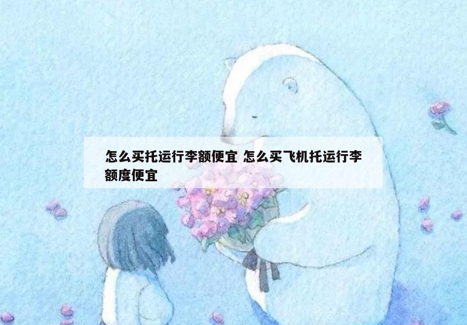 怎么买托运行李额便宜 怎么买飞机托运行李额度便宜