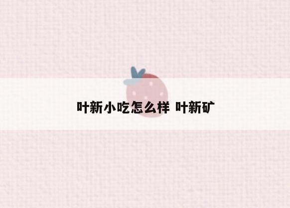 叶新小吃怎么样 叶新矿