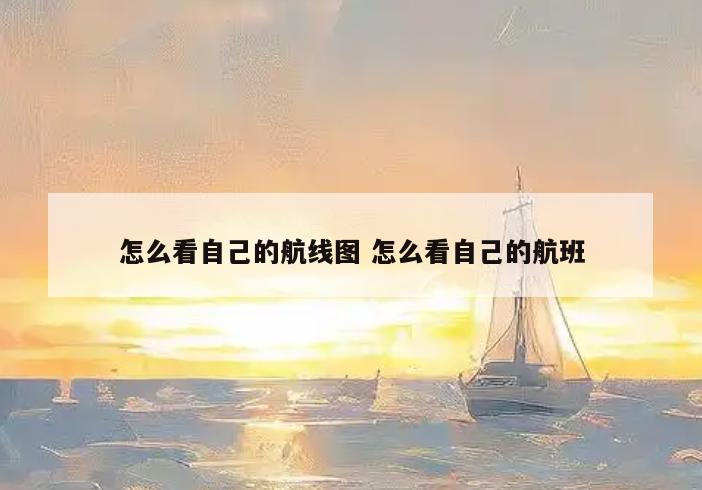 怎么看自己的航线图 怎么看自己的航班