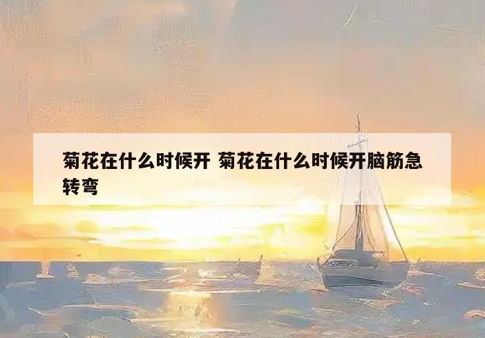 菊花在什么时候开 菊花在什么时候开脑筋急转弯
