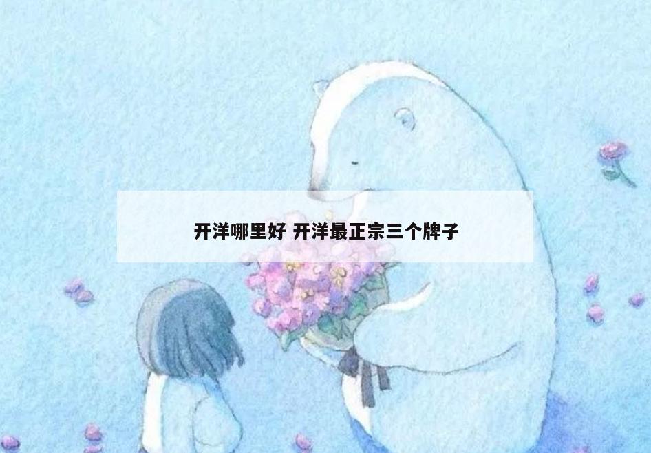开洋哪里好 开洋最正宗三个牌子