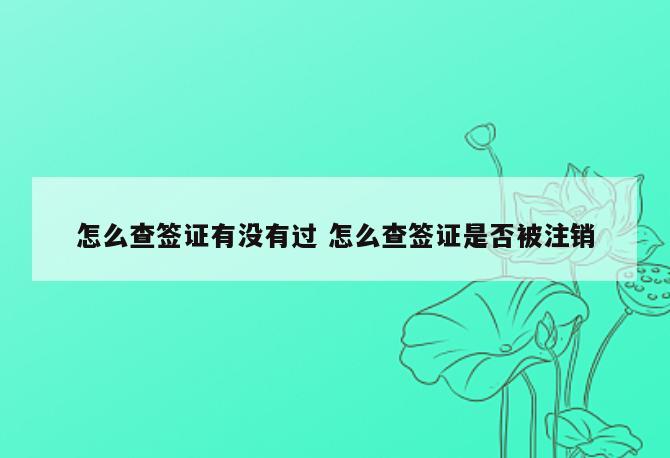 怎么查签证有没有过 怎么查签证是否被注销