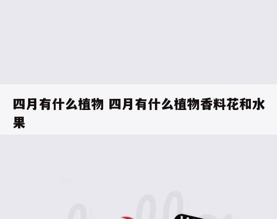 四月有什么植物 四月有什么植物香料花和水果