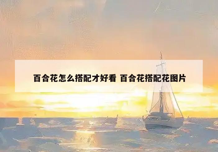 百合花怎么搭配才好看 百合花搭配花图片