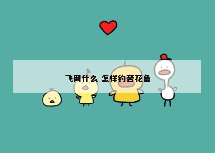 飞网什么 怎样钓苦花鱼