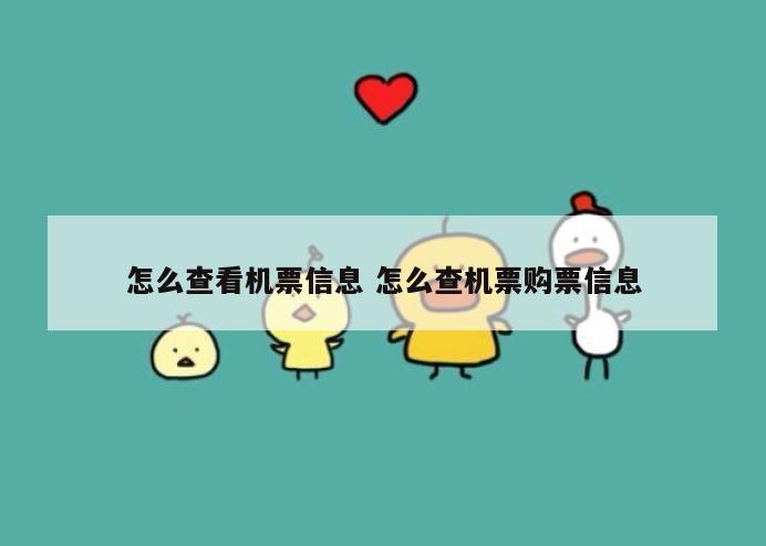 怎么查看机票信息 怎么查机票购票信息