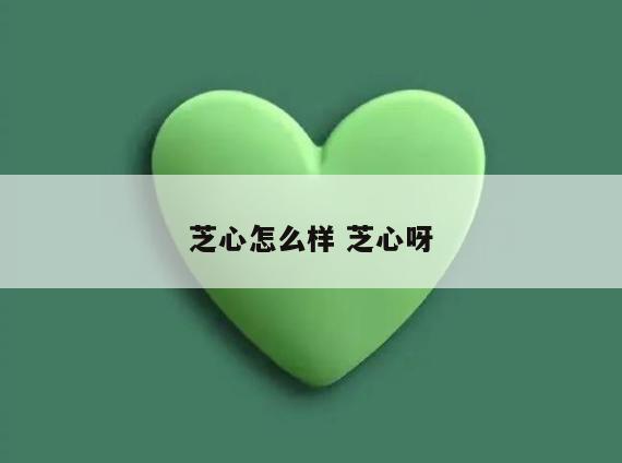 芝心怎么样 芝心呀